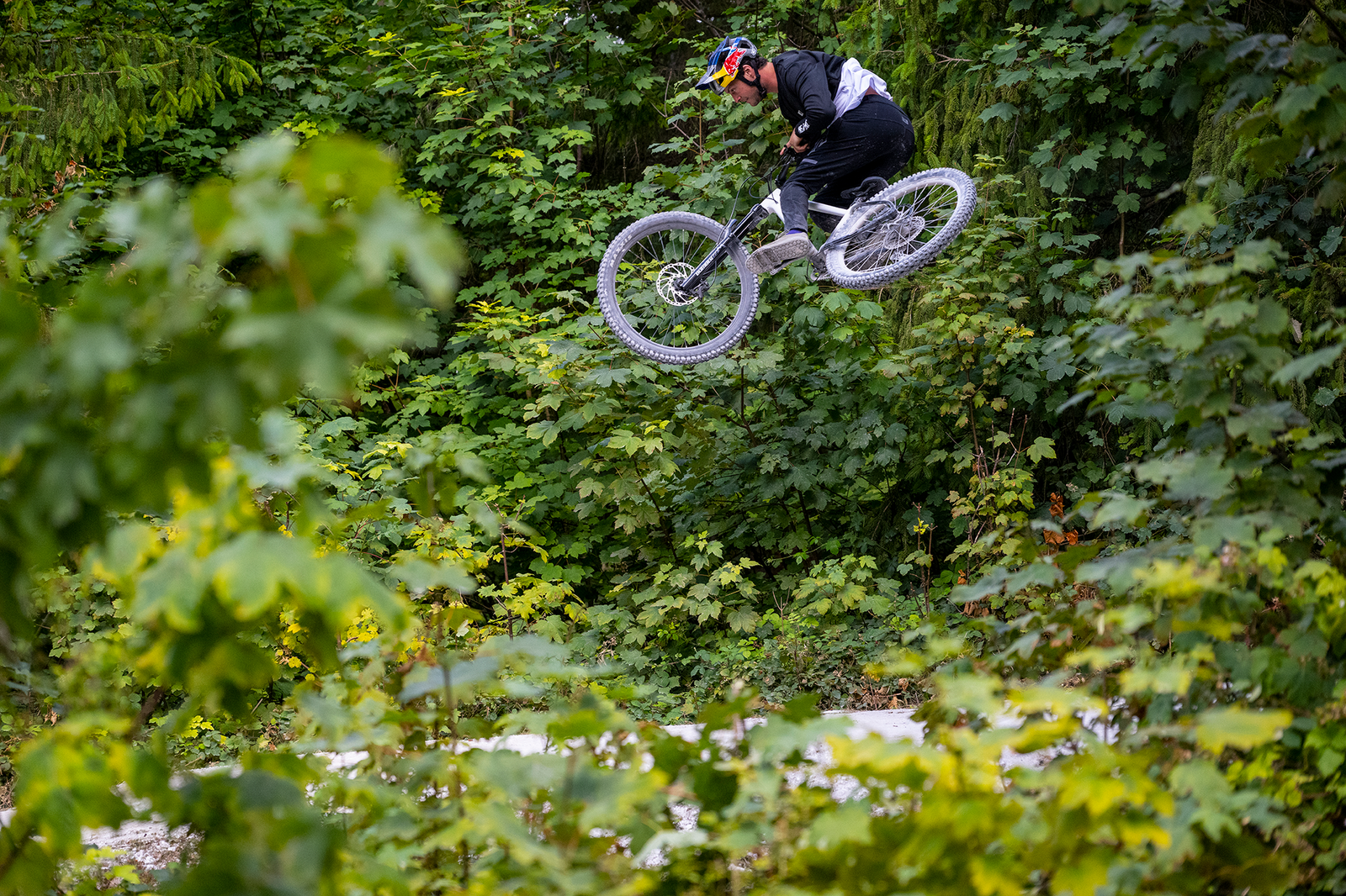 Ex Demo – 2024 Marin San Quentin 29 2 – Hardcore Hardtail M1 – M - image 4