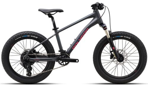 Polygon Xtrada 20 – Kids Mountain Bike