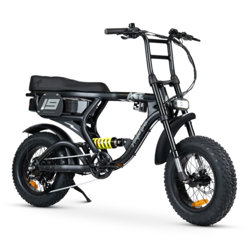 ACE-X Mini Pro Series 5 Electric Bike – Matte Black