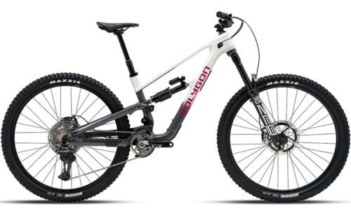 Polygon Collosus N9 Carbon – Enduro Mountain Bike – S
