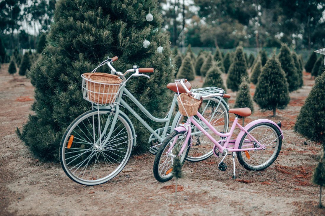 Reid Girls Classic 20 inch — Vintage Kids Bike – Sage - image 15